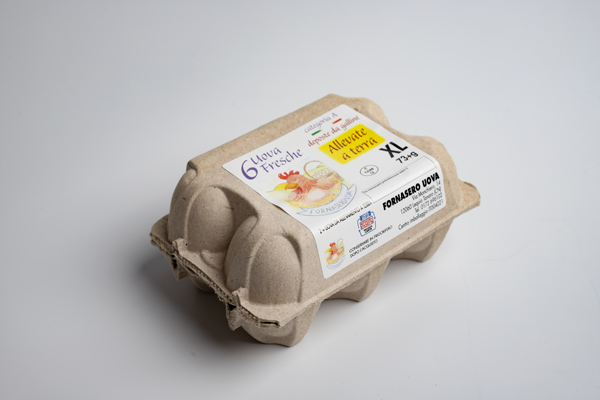 Uova-xl-in-vaschetta-2